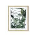Picture of Tropical Greenhouse ll _GroupedProduct_Rectangle_Portrait_Photography _GroupedProduct_Rectangle_Portrait_Framed_Matted_