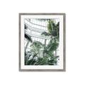 Picture of Tropical Greenhouse ll _GroupedProduct_Rectangle_Portrait_Photography _GroupedProduct_Rectangle_Portrait_Framed_Matted_