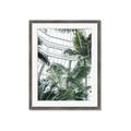 Picture of Tropical Greenhouse ll _GroupedProduct_Rectangle_Portrait_Photography _GroupedProduct_Rectangle_Portrait_Framed_Matted_