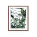 Picture of Tropical Greenhouse ll _GroupedProduct_Rectangle_Portrait_Photography _GroupedProduct_Rectangle_Portrait_Framed_Matted_