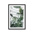 Picture of Tropical Greenhouse ll _GroupedProduct_Rectangle_Portrait_Photography _GroupedProduct_Rectangle_Portrait_Framed_Matted_