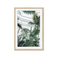 Picture of Tropical Greenhouse ll _GroupedProduct_Rectangle_Portrait_Photography _GroupedProduct_Rectangle_Portrait_Framed_Matted_