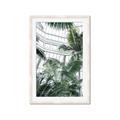Picture of Tropical Greenhouse ll _GroupedProduct_Rectangle_Portrait_Photography _GroupedProduct_Rectangle_Portrait_Framed_Matted_