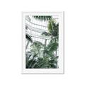 Picture of Tropical Greenhouse ll _GroupedProduct_Rectangle_Portrait_Photography _GroupedProduct_Rectangle_Portrait_Framed_Matted_