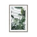 Picture of Tropical Greenhouse ll _GroupedProduct_Rectangle_Portrait_Photography _GroupedProduct_Rectangle_Portrait_Framed_Matted_