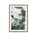 Picture of Tropical Greenhouse ll _GroupedProduct_Rectangle_Portrait_Photography _GroupedProduct_Rectangle_Portrait_Framed_Matted_