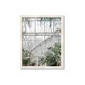 Picture of Green house IV _GroupedProduct_Rectangle_Portrait_Photography _GroupedProduct_Rectangle_Portrait_Framed_Matted_