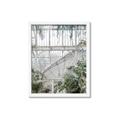 Picture of Green house IV _GroupedProduct_Rectangle_Portrait_Photography _GroupedProduct_Rectangle_Portrait_Framed_Matted_