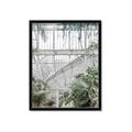 Picture of Green house IV _GroupedProduct_Rectangle_Portrait_Photography _GroupedProduct_Rectangle_Portrait_Framed_Matted_