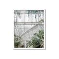 Picture of Green house IV _GroupedProduct_Rectangle_Portrait_Photography _GroupedProduct_Rectangle_Portrait_Framed_Matted_