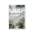 Picture of Green house IV _GroupedProduct_Rectangle_Portrait_Photography _GroupedProduct_Rectangle_Portrait_Framed_Matted_