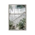 Picture of Green house IV _GroupedProduct_Rectangle_Portrait_Photography _GroupedProduct_Rectangle_Portrait_Framed_Matted_