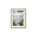 Picture of Green house IV _GroupedProduct_Rectangle_Portrait_Photography _GroupedProduct_Rectangle_Portrait_Framed_Matted_