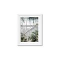 Picture of Green house IV _GroupedProduct_Rectangle_Portrait_Photography _GroupedProduct_Rectangle_Portrait_Framed_Matted_