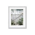 Picture of Green house IV _GroupedProduct_Rectangle_Portrait_Photography _GroupedProduct_Rectangle_Portrait_Framed_Matted_