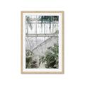 Picture of Green house IV _GroupedProduct_Rectangle_Portrait_Photography _GroupedProduct_Rectangle_Portrait_Framed_Matted_