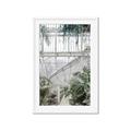 Picture of Green house IV _GroupedProduct_Rectangle_Portrait_Photography _GroupedProduct_Rectangle_Portrait_Framed_Matted_