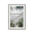 Picture of Green house IV _GroupedProduct_Rectangle_Portrait_Photography _GroupedProduct_Rectangle_Portrait_Framed_Matted_