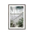 Picture of Green house IV _GroupedProduct_Rectangle_Portrait_Photography _GroupedProduct_Rectangle_Portrait_Framed_Matted_