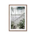 Picture of Green house IV _GroupedProduct_Rectangle_Portrait_Photography _GroupedProduct_Rectangle_Portrait_Framed_Matted_