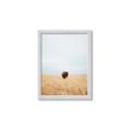 Picture of Field Guy _GroupedProduct_Rectangle_Portrait_Photography _GroupedProduct_Rectangle_Portrait_Framed_Matted_