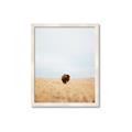 Picture of Field Guy _GroupedProduct_Rectangle_Portrait_Photography _GroupedProduct_Rectangle_Portrait_Framed_Matted_