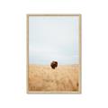 Picture of Field Guy _GroupedProduct_Rectangle_Portrait_Photography _GroupedProduct_Rectangle_Portrait_Framed_Matted_
