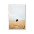 Picture of Field Guy _GroupedProduct_Rectangle_Portrait_Photography _GroupedProduct_Rectangle_Portrait_Framed_Matted_