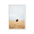 Picture of Field Guy _GroupedProduct_Rectangle_Portrait_Photography _GroupedProduct_Rectangle_Portrait_Framed_Matted_