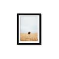 Picture of Field Guy _GroupedProduct_Rectangle_Portrait_Photography _GroupedProduct_Rectangle_Portrait_Framed_Matted_