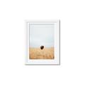 Picture of Field Guy _GroupedProduct_Rectangle_Portrait_Photography _GroupedProduct_Rectangle_Portrait_Framed_Matted_