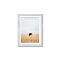 Picture of Field Guy _GroupedProduct_Rectangle_Portrait_Photography _GroupedProduct_Rectangle_Portrait_Framed_Matted_