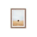 Picture of Field Guy _GroupedProduct_Rectangle_Portrait_Photography _GroupedProduct_Rectangle_Portrait_Framed_Matted_