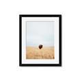 Picture of Field Guy _GroupedProduct_Rectangle_Portrait_Photography _GroupedProduct_Rectangle_Portrait_Framed_Matted_