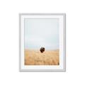 Picture of Field Guy _GroupedProduct_Rectangle_Portrait_Photography _GroupedProduct_Rectangle_Portrait_Framed_Matted_