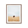 Picture of Field Guy _GroupedProduct_Rectangle_Portrait_Photography _GroupedProduct_Rectangle_Portrait_Framed_Matted_