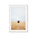 Picture of Field Guy _GroupedProduct_Rectangle_Portrait_Photography _GroupedProduct_Rectangle_Portrait_Framed_Matted_