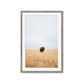Picture of Field Guy _GroupedProduct_Rectangle_Portrait_Photography _GroupedProduct_Rectangle_Portrait_Framed_Matted_