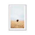 Picture of Field Guy _GroupedProduct_Rectangle_Portrait_Photography _GroupedProduct_Rectangle_Portrait_Framed_Matted_