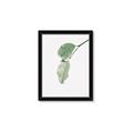 Picture of Dewey leaves _GroupedProduct_Rectangle_Portrait_Photography _GroupedProduct_Rectangle_Portrait_Framed_Matted_