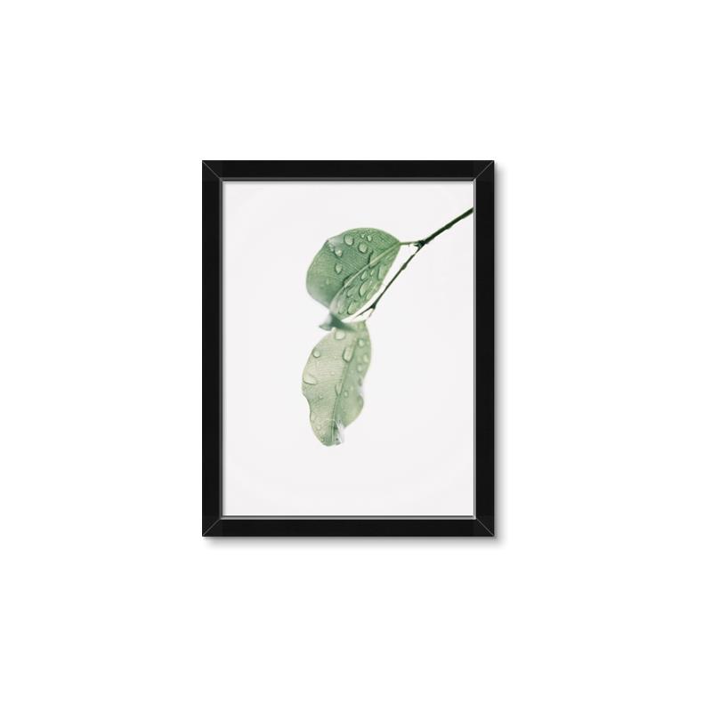 Picture of Dewey leaves _GroupedProduct_Rectangle_Portrait_Photography _GroupedProduct_Rectangle_Portrait_Framed_Matted_