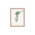 Picture of Dewey leaves _GroupedProduct_Rectangle_Portrait_Photography _GroupedProduct_Rectangle_Portrait_Framed_Matted_