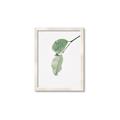 Picture of Dewey leaves _GroupedProduct_Rectangle_Portrait_Photography _GroupedProduct_Rectangle_Portrait_Framed_Matted_