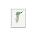 Picture of Dewey leaves _GroupedProduct_Rectangle_Portrait_Photography _GroupedProduct_Rectangle_Portrait_Framed_Matted_