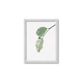Picture of Dewey leaves _GroupedProduct_Rectangle_Portrait_Photography _GroupedProduct_Rectangle_Portrait_Framed_Matted_