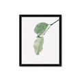Picture of Dewey leaves _GroupedProduct_Rectangle_Portrait_Photography _GroupedProduct_Rectangle_Portrait_Framed_Matted_