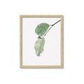 Picture of Dewey leaves _GroupedProduct_Rectangle_Portrait_Photography _GroupedProduct_Rectangle_Portrait_Framed_Matted_