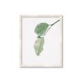 Picture of Dewey leaves _GroupedProduct_Rectangle_Portrait_Photography _GroupedProduct_Rectangle_Portrait_Framed_Matted_