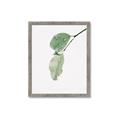 Picture of Dewey leaves _GroupedProduct_Rectangle_Portrait_Photography _GroupedProduct_Rectangle_Portrait_Framed_Matted_