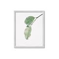 Picture of Dewey leaves _GroupedProduct_Rectangle_Portrait_Photography _GroupedProduct_Rectangle_Portrait_Framed_Matted_